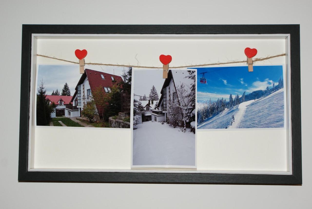 Vila Sorina Poiana Brasov Esterno foto